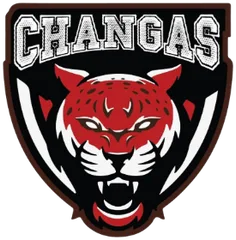 Changas